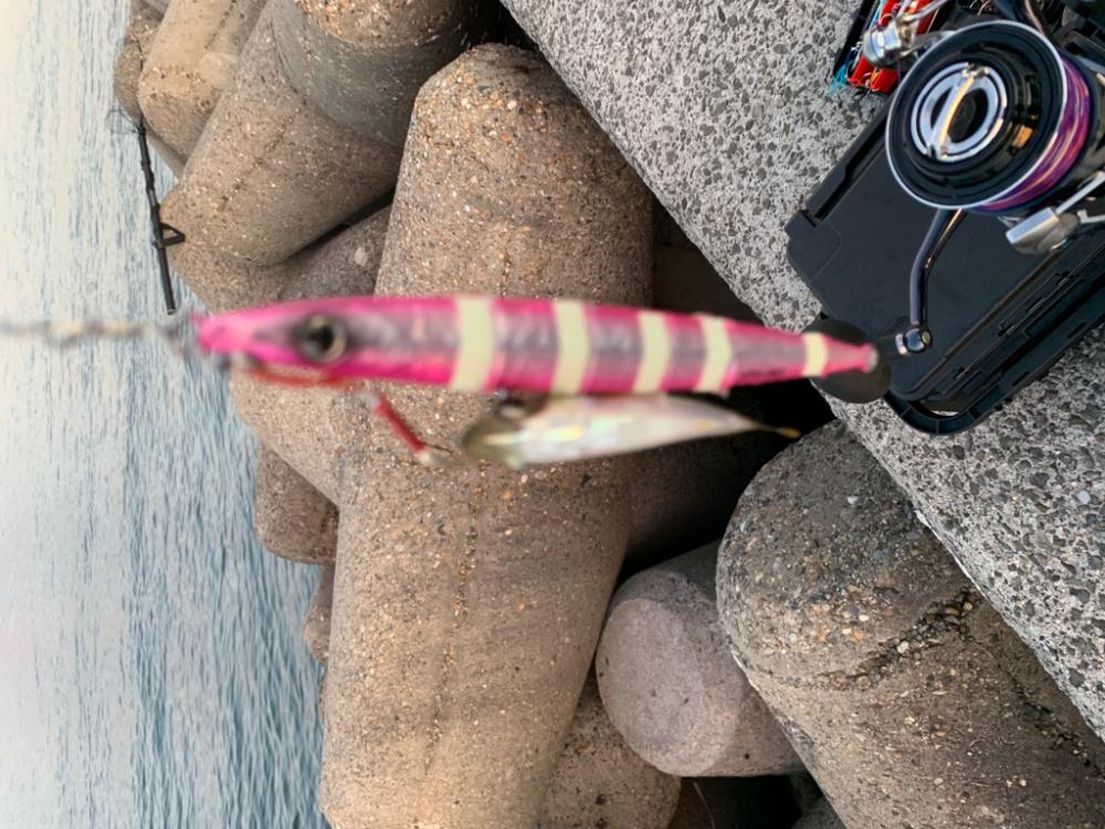 逃した魚はでかい