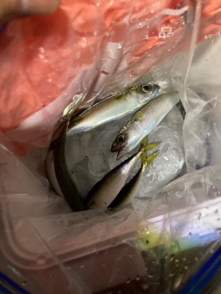 南芦屋浜オープン