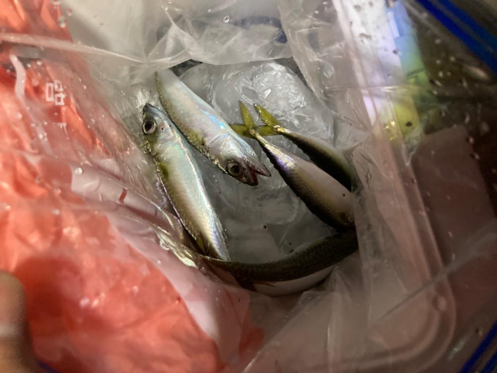 南芦屋浜オープン