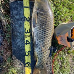 延べ竿で80アップ！