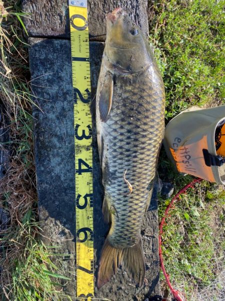 延べ竿で80アップ！