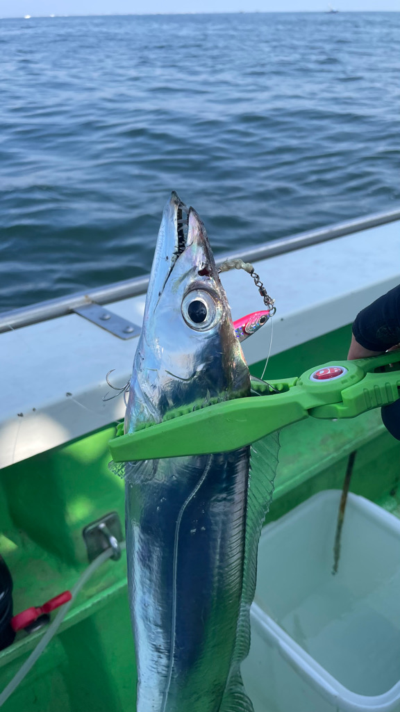 CLUE オフショア大会　8月