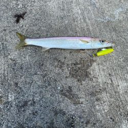 猛暑の中のショアジギング