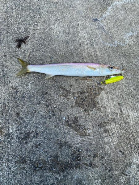 猛暑の中のショアジギング