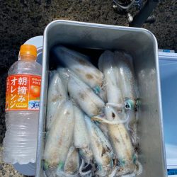 新子成長中です。