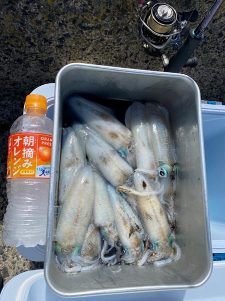 新子成長中です。