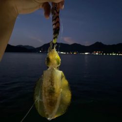 仕事終わりエギング！