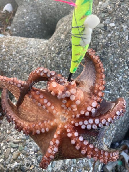 ⭐️流行りには…