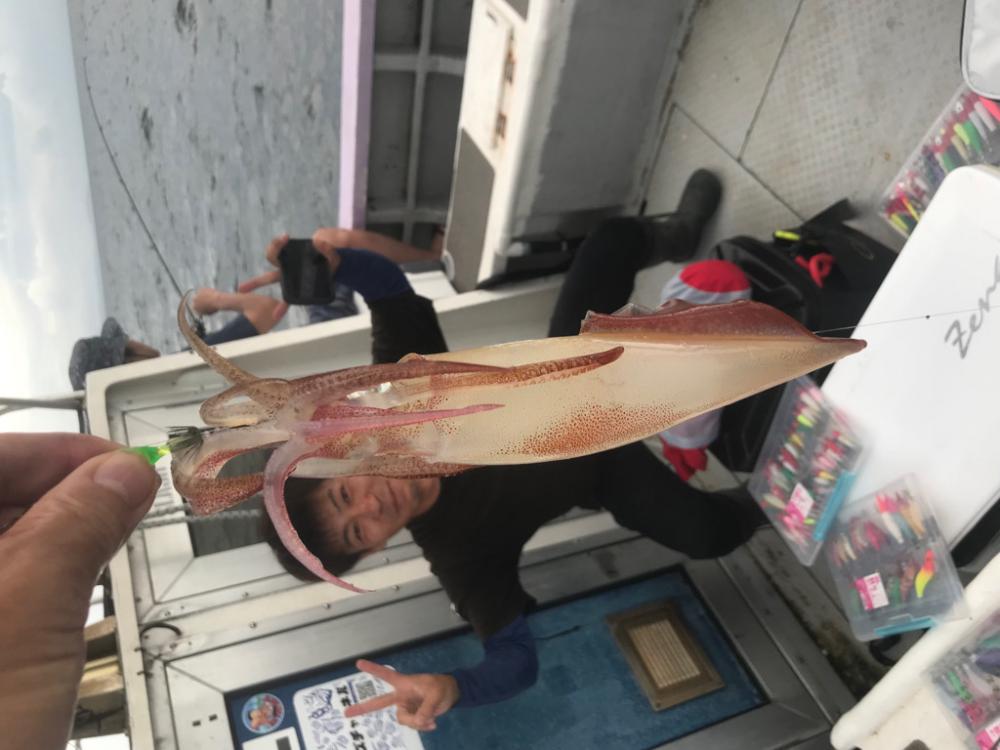 淡路デイイカメタル