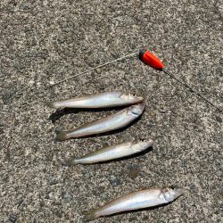 ちょい投げでキス釣り