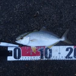 小雨凪潮の曇り空