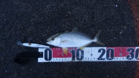 小雨凪潮の曇り空