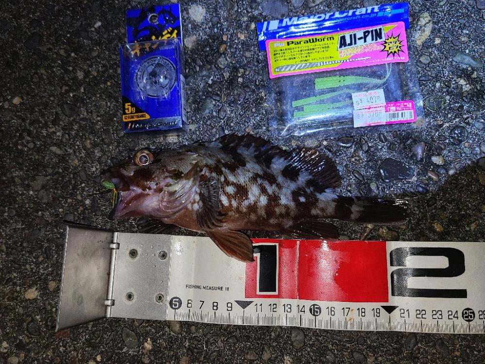 やっとガシラマンション見つけました!!