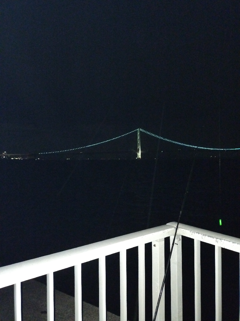 タチウオ、アナゴ