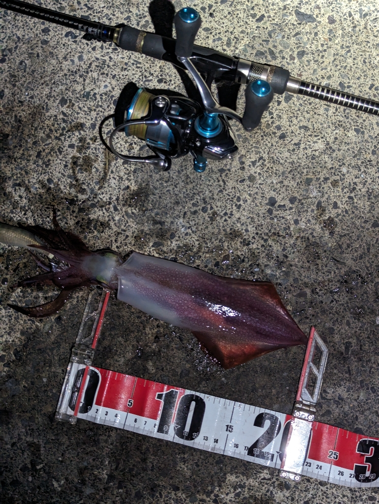 ショアティップラン