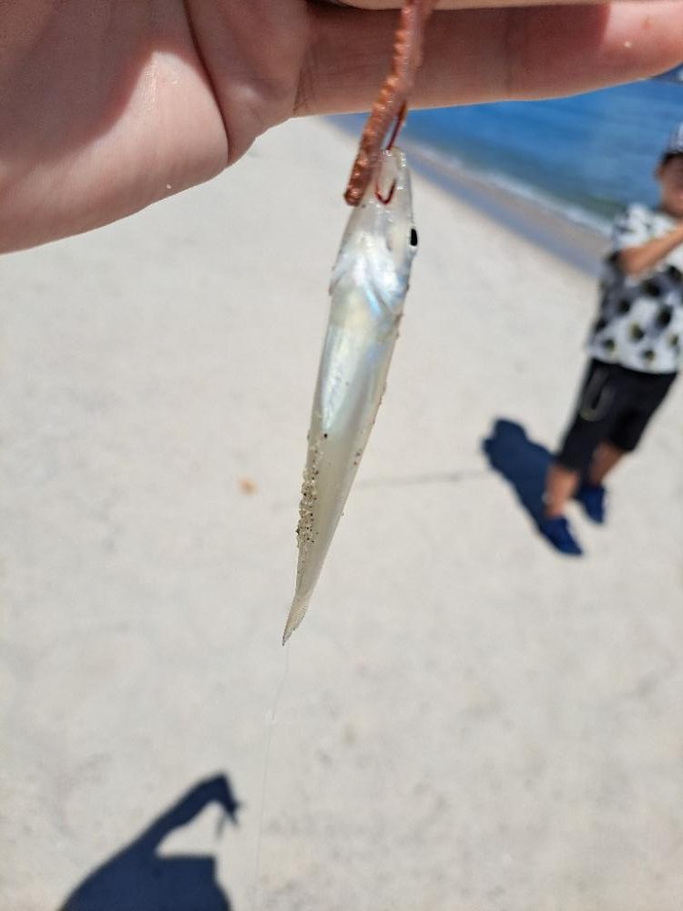 家族でチョイ投げ