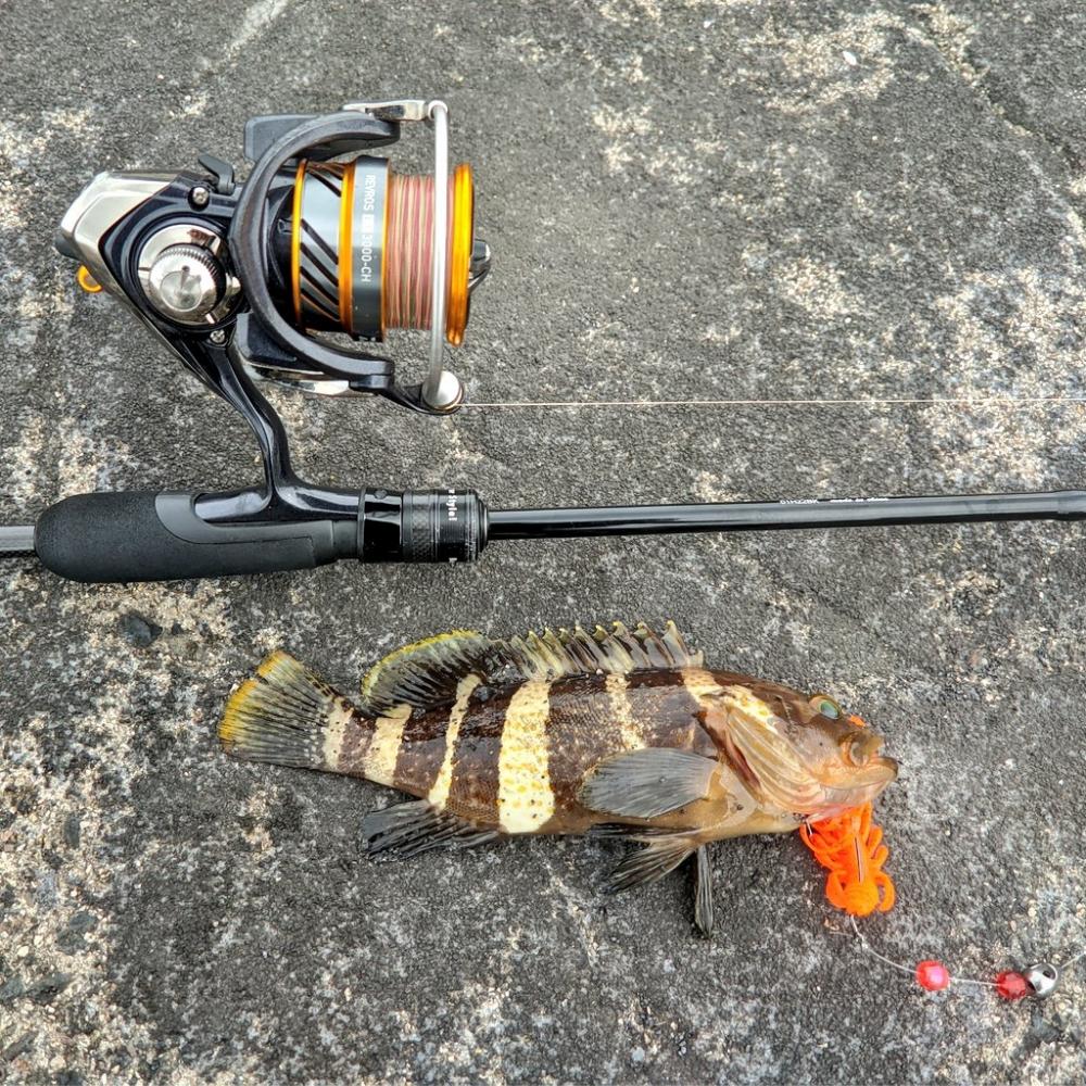 初テキサスリグ