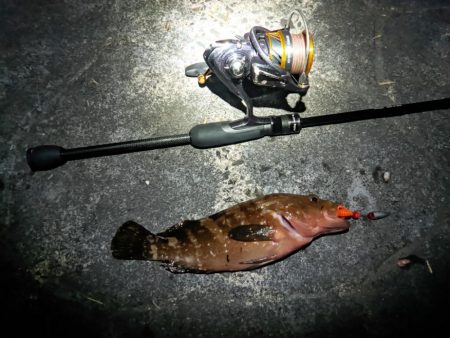 エサ釣りだめじゃん