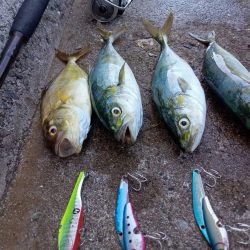 プチsalt water game