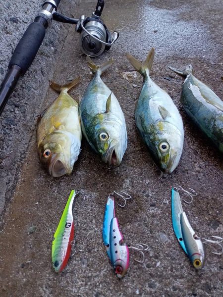 プチsalt water game