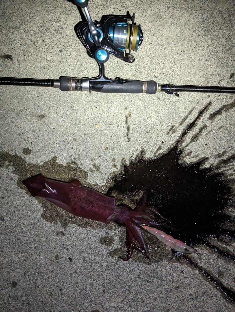 夜でも熱中症に注意