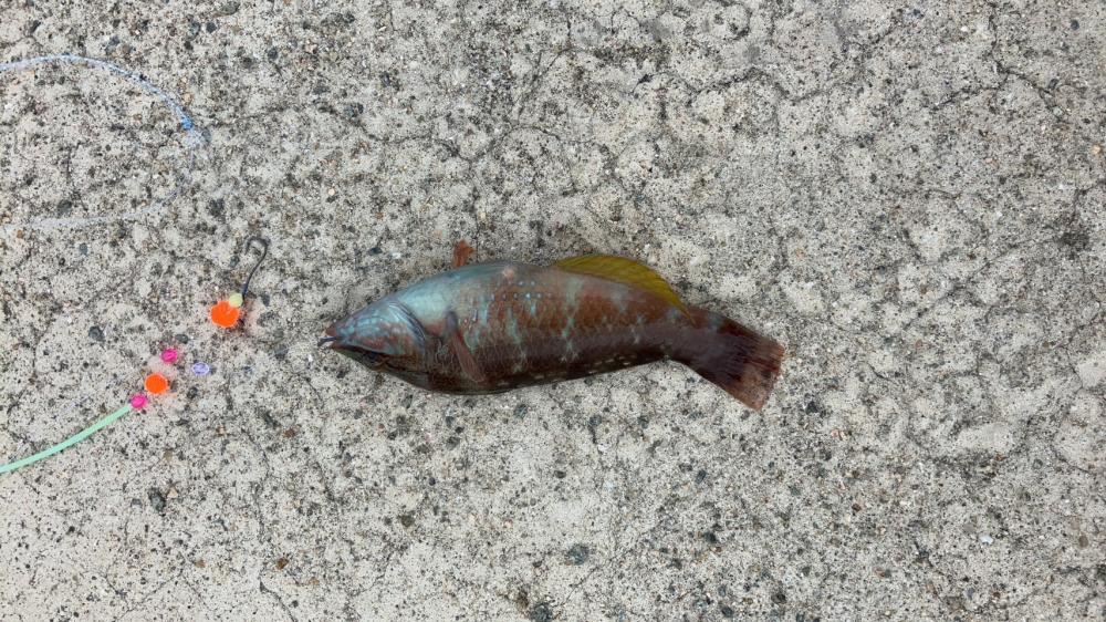 台風の影響はあまりなく