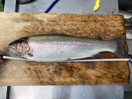 釣食浪漫 ～雨乞い？！～
