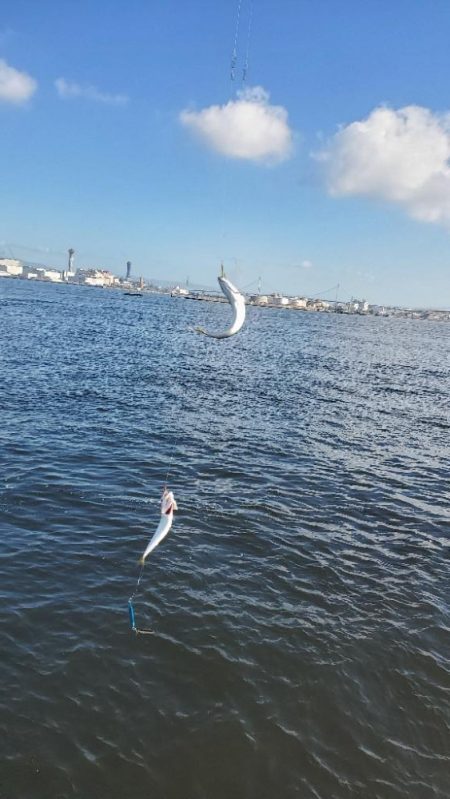 サバゲーとタコ