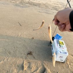 虹ノ松原でキス釣りしてきました