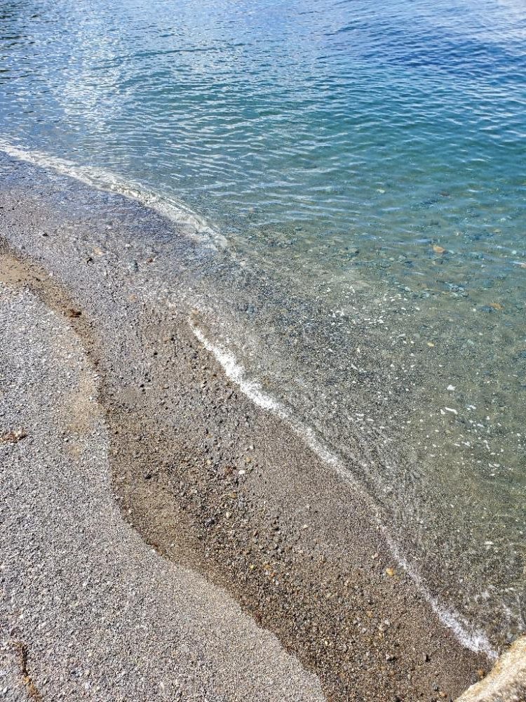 朝少しだけキス釣り