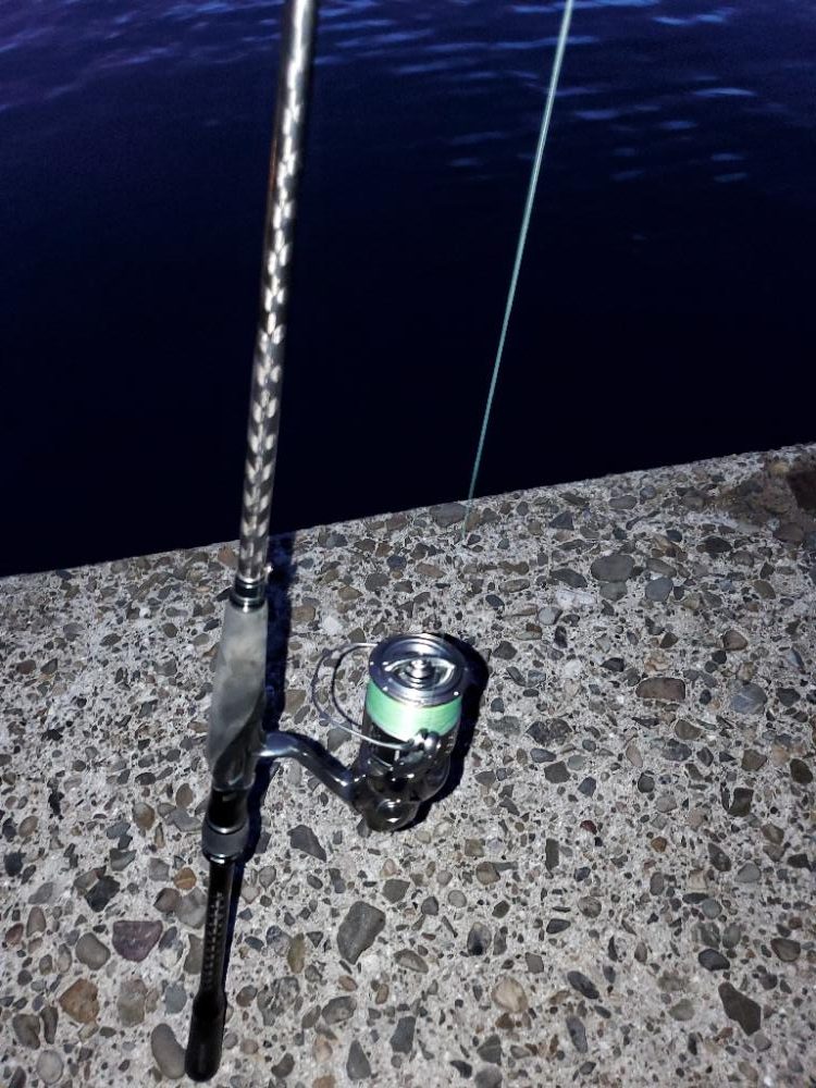 今季タチウオ 初チャレンジ