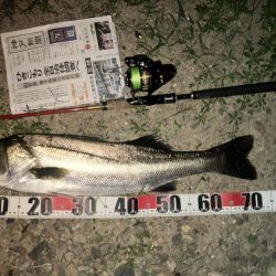 久しぶりのウェーディングでした