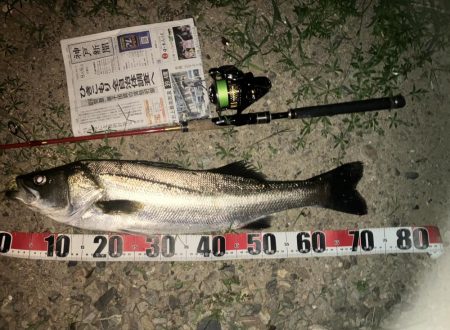 久しぶりのウェーディングでした