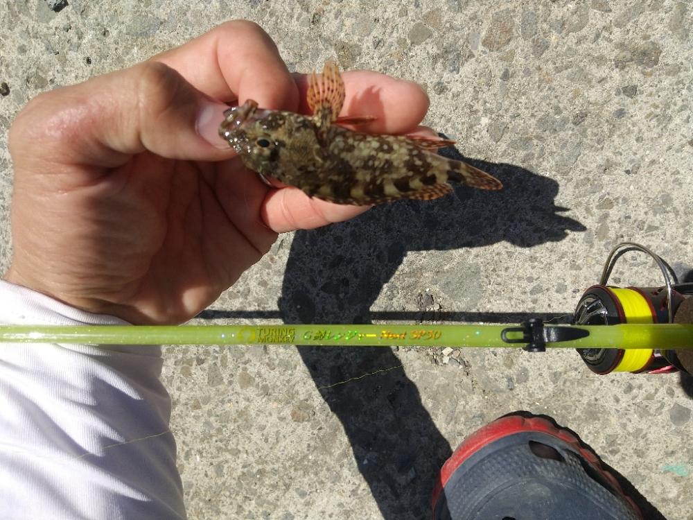 小物釣り