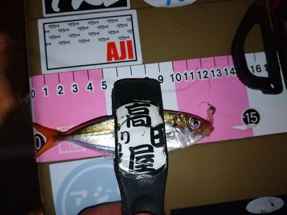 今夜もとにかく修行