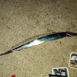 今年初の陸っぱり太刀魚