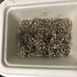 お手軽ハゼ釣り