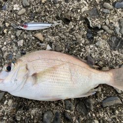 釣り人誰もいない