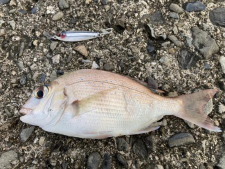 釣り人誰もいない