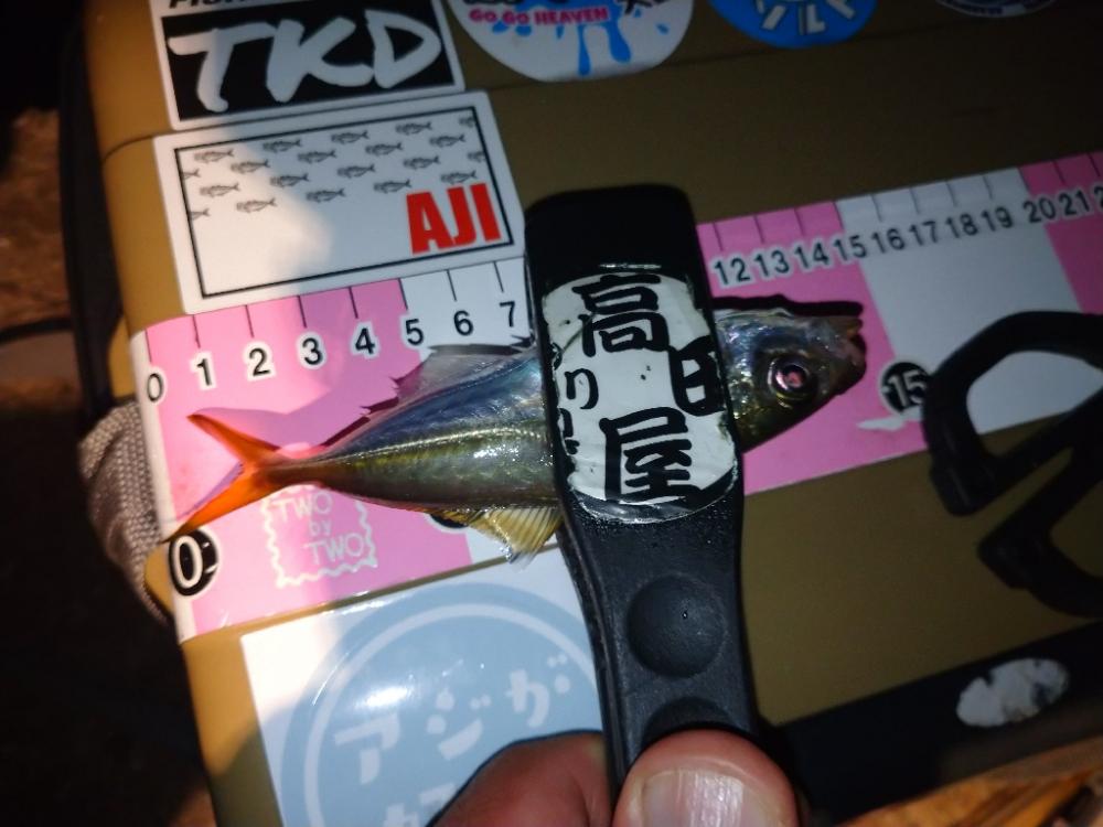 今夜はアジング修行