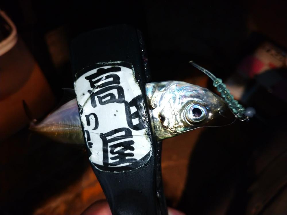 セリアで豆アジ