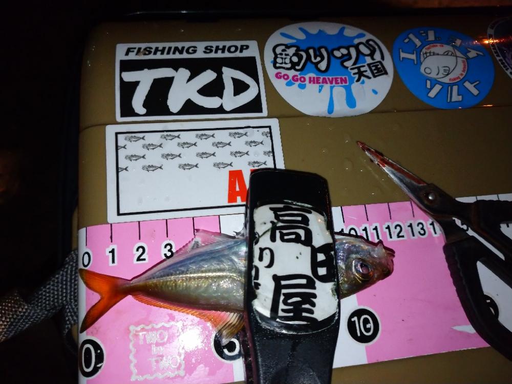 今夜も豆アジ修行