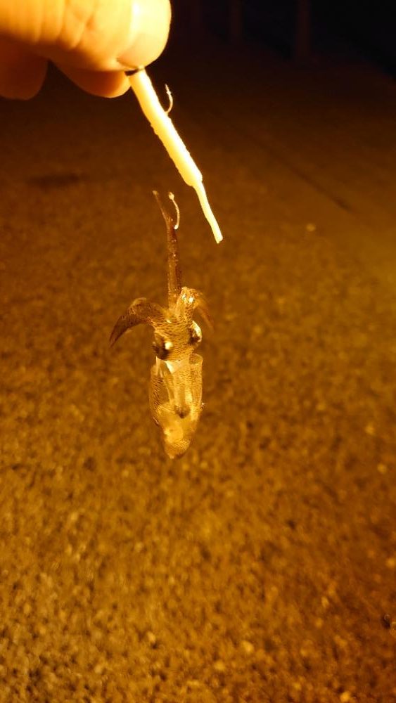 思ってたのと違いますやん！