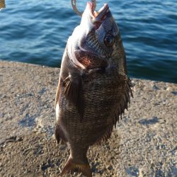 紀州釣り第2戦💦