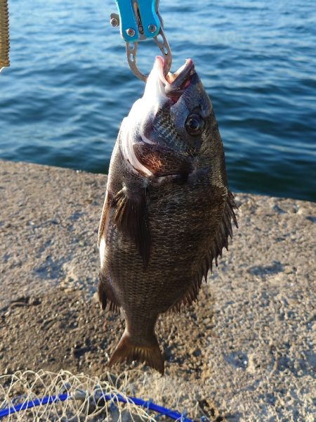 紀州釣り第2戦💦