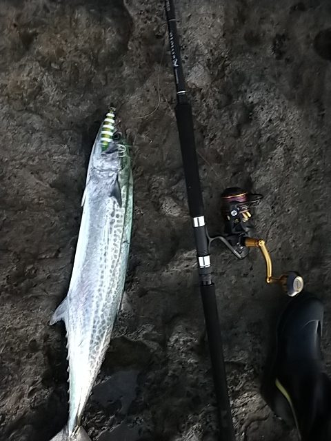 フォールでボトム付近