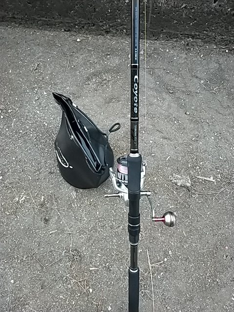 濁ってましたが…