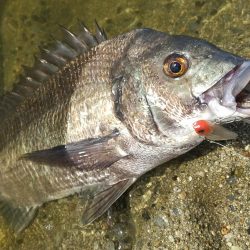 リフト&フォール