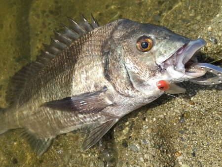 リフト&フォール