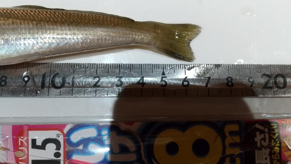 イベントトライ